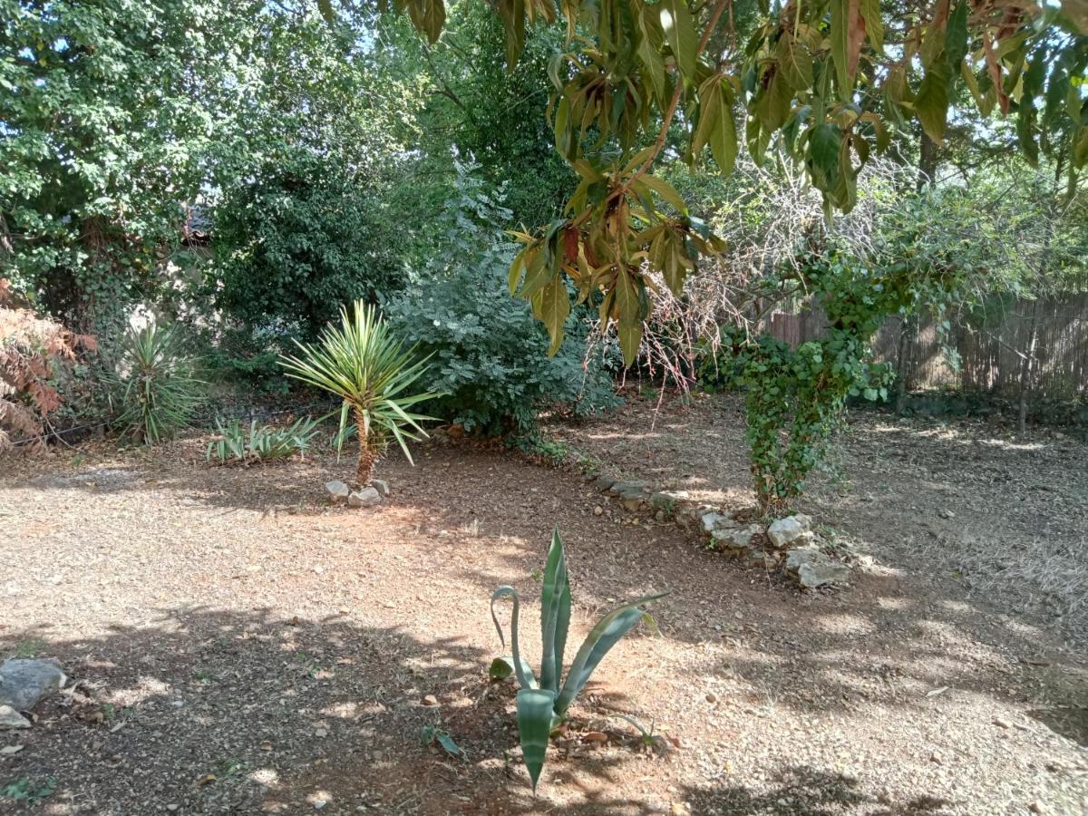 Bas De Villa Au Chant Des Cigales Lorgues Exterior foto